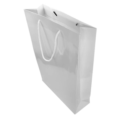 XL Paper Gift Bag (A3)