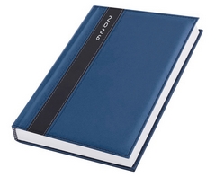 Satin Diary A5 ST301EA5-2026